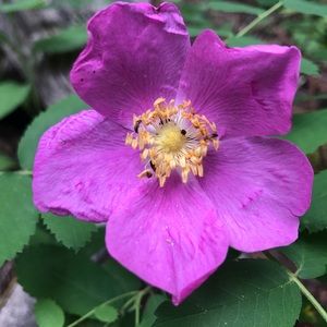 Meet your Posher, Christy